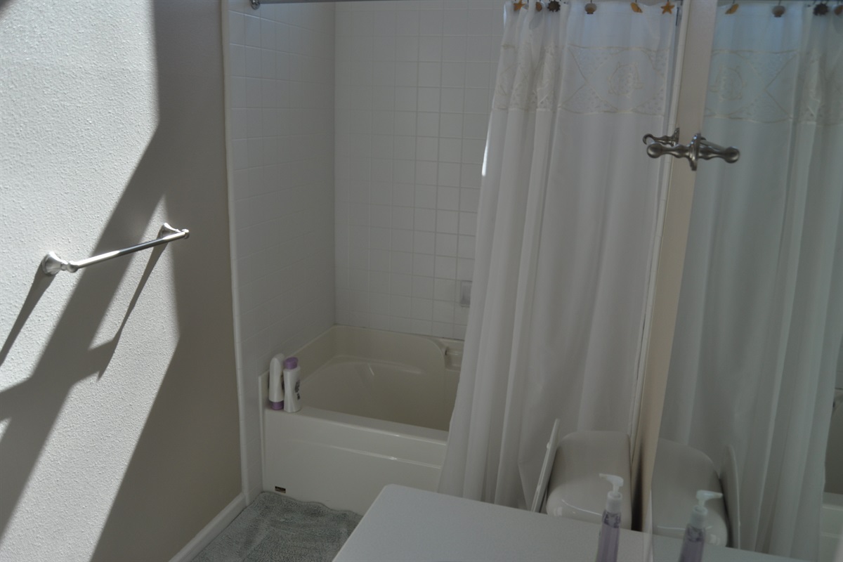 Bathroom Downstairs View 1