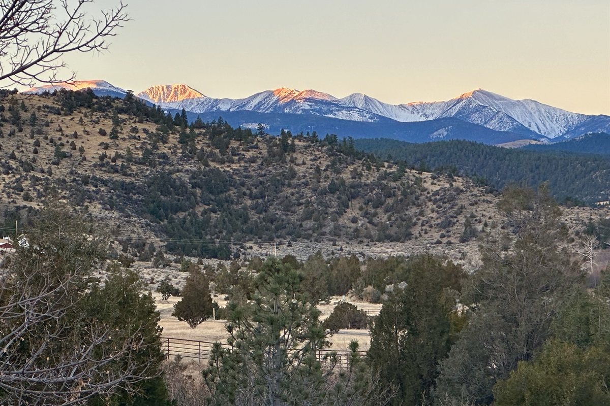 This is the view directly outside your west-facing outdoor private patio and backyard.