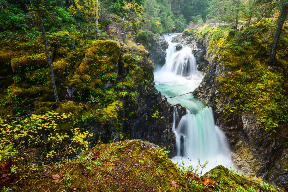 Take a scenic walk and explore beautiful Little Qualicum Falls.