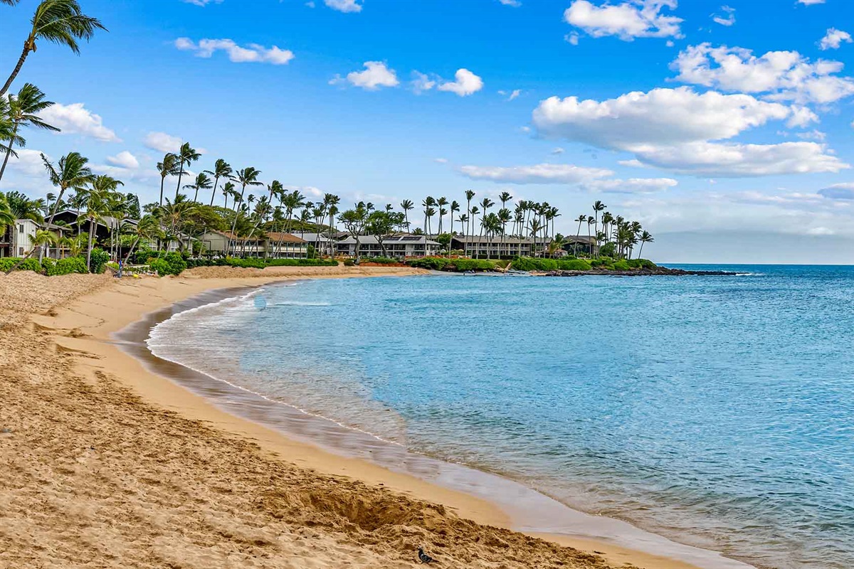 Napili Bay