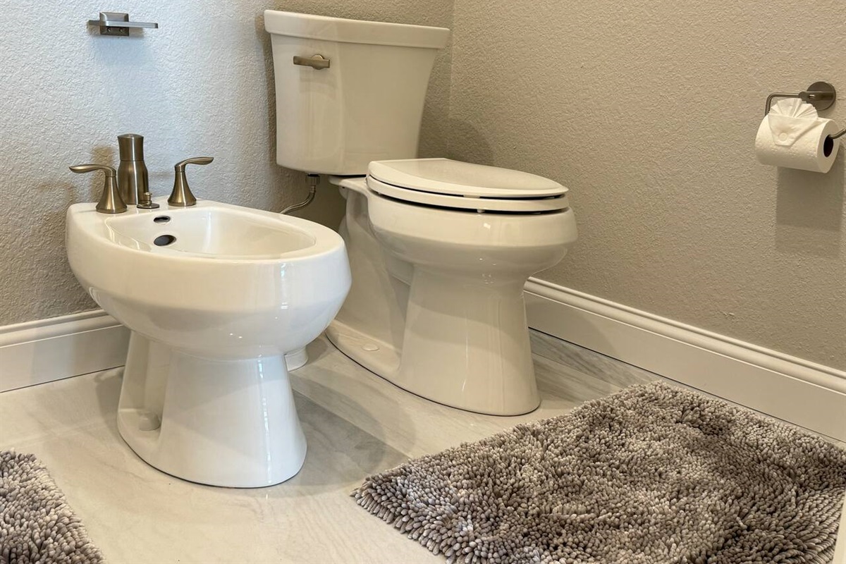 Master bathroom has both a bidet and a toilet. 