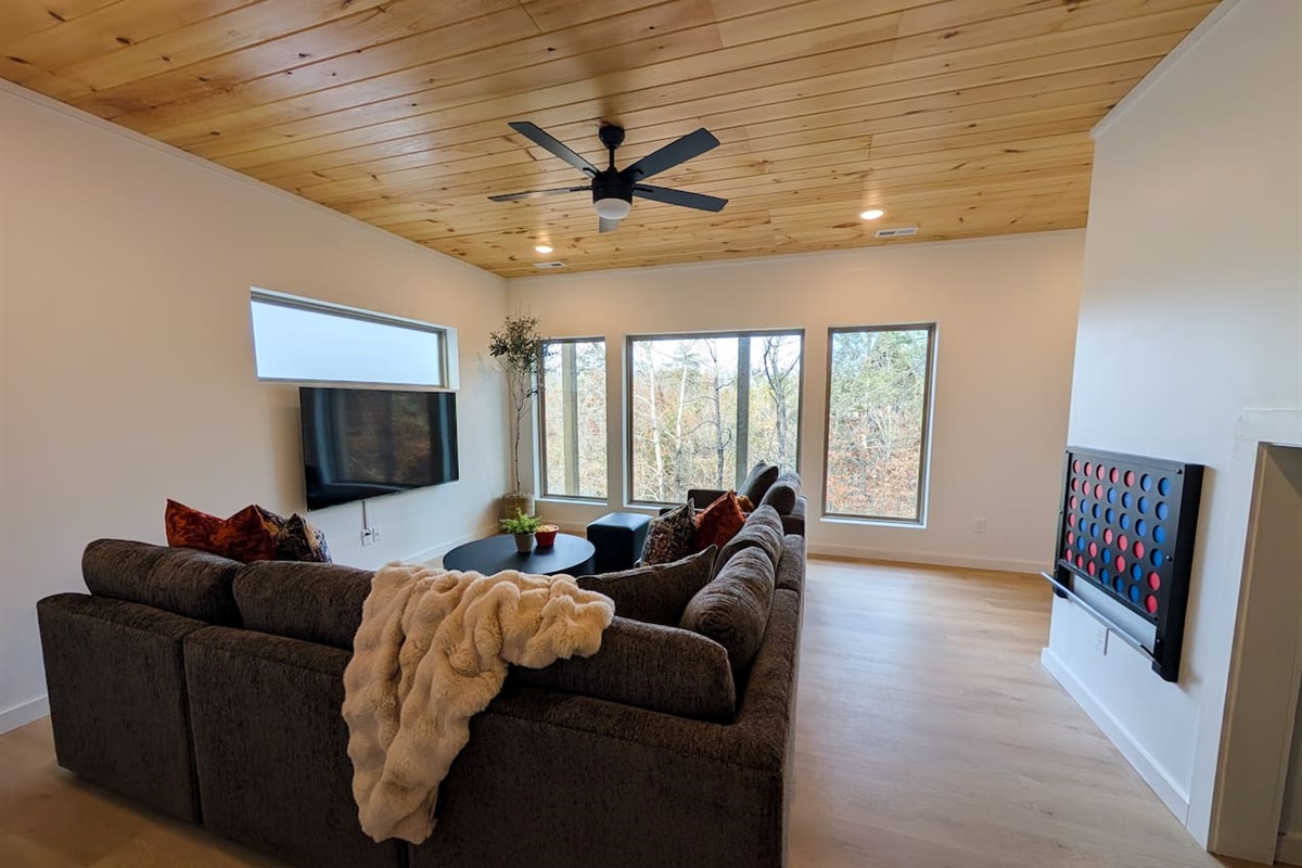 Spacious Lower Level Living Room