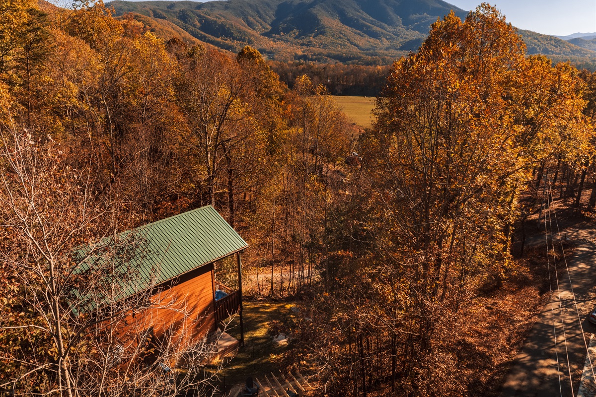 We had a fantastic time on our vacation here! The cabin was wonderful and at an excellent location. I would definitely stay again!