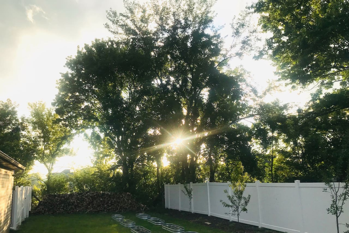 Sunset views through the backyard trees.