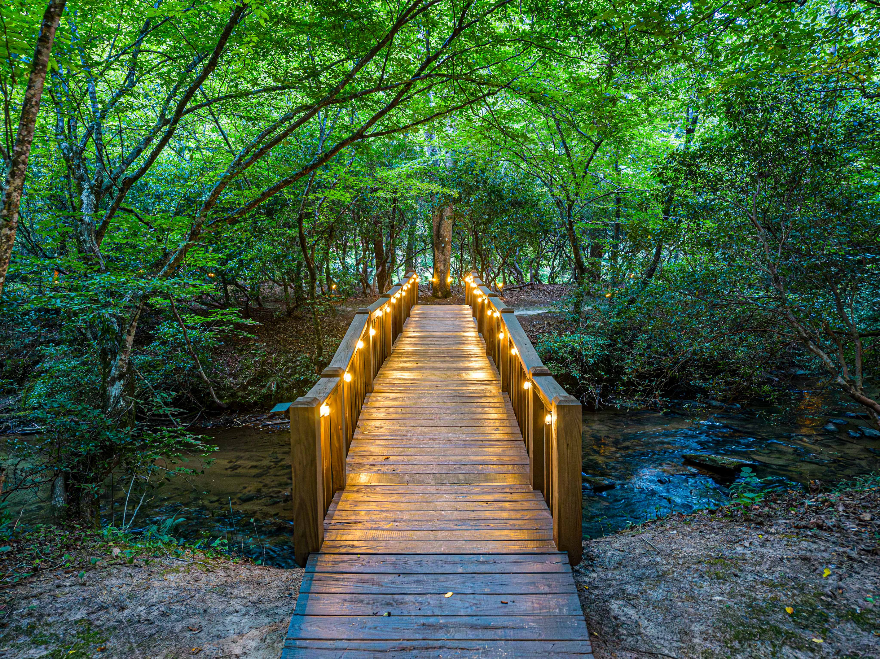 Cross the private bridge to discover your own peaceful island retreat along the Cartecay River.