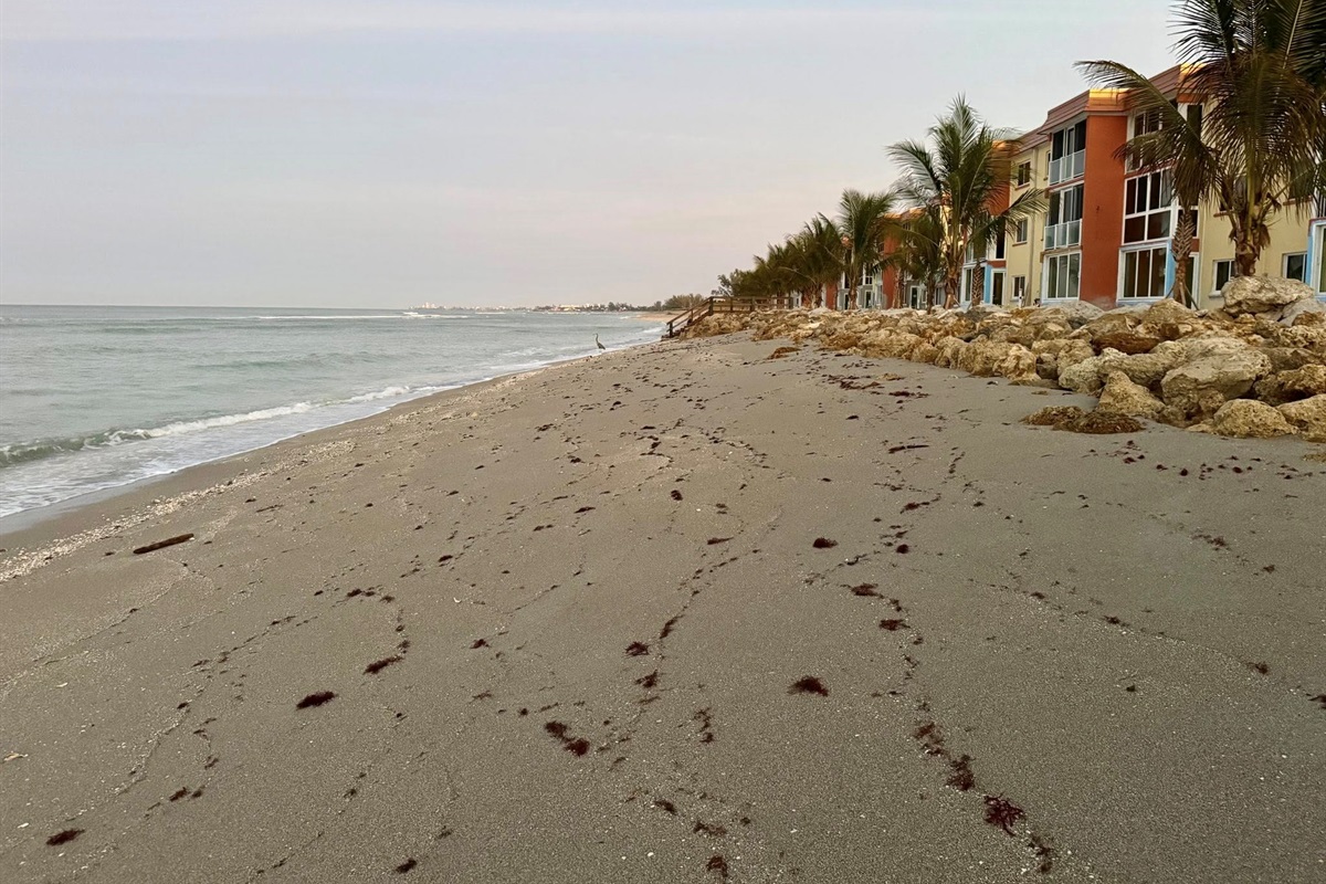 2026 Beach in front of condos before refurbishment
