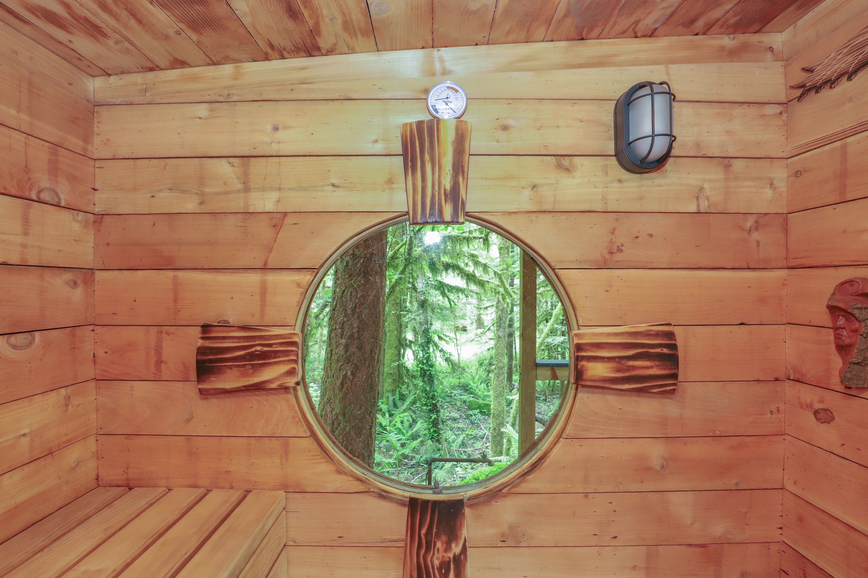 Sauna Looking Into The Woods