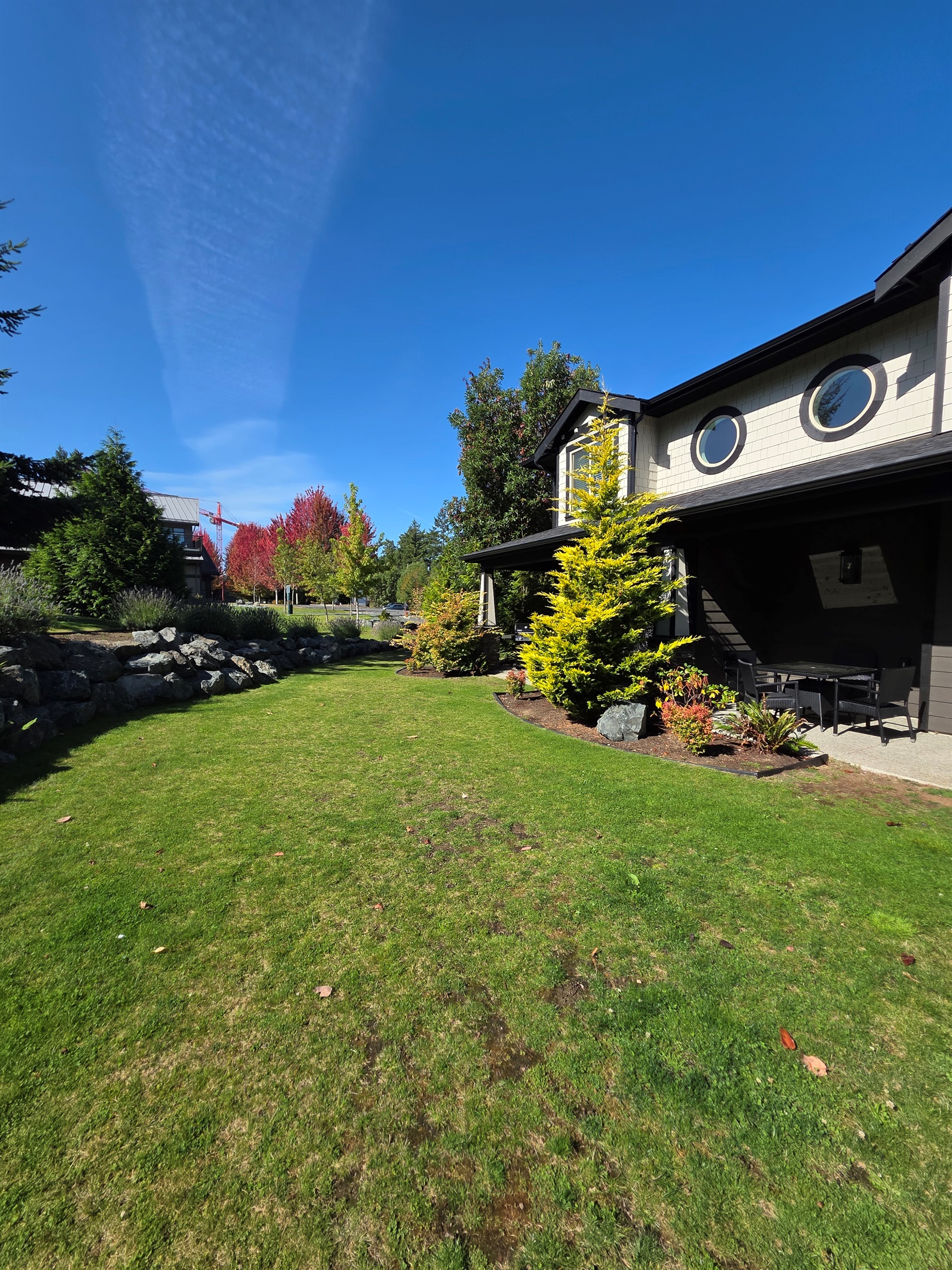 Beautiful Backyard. Green space.