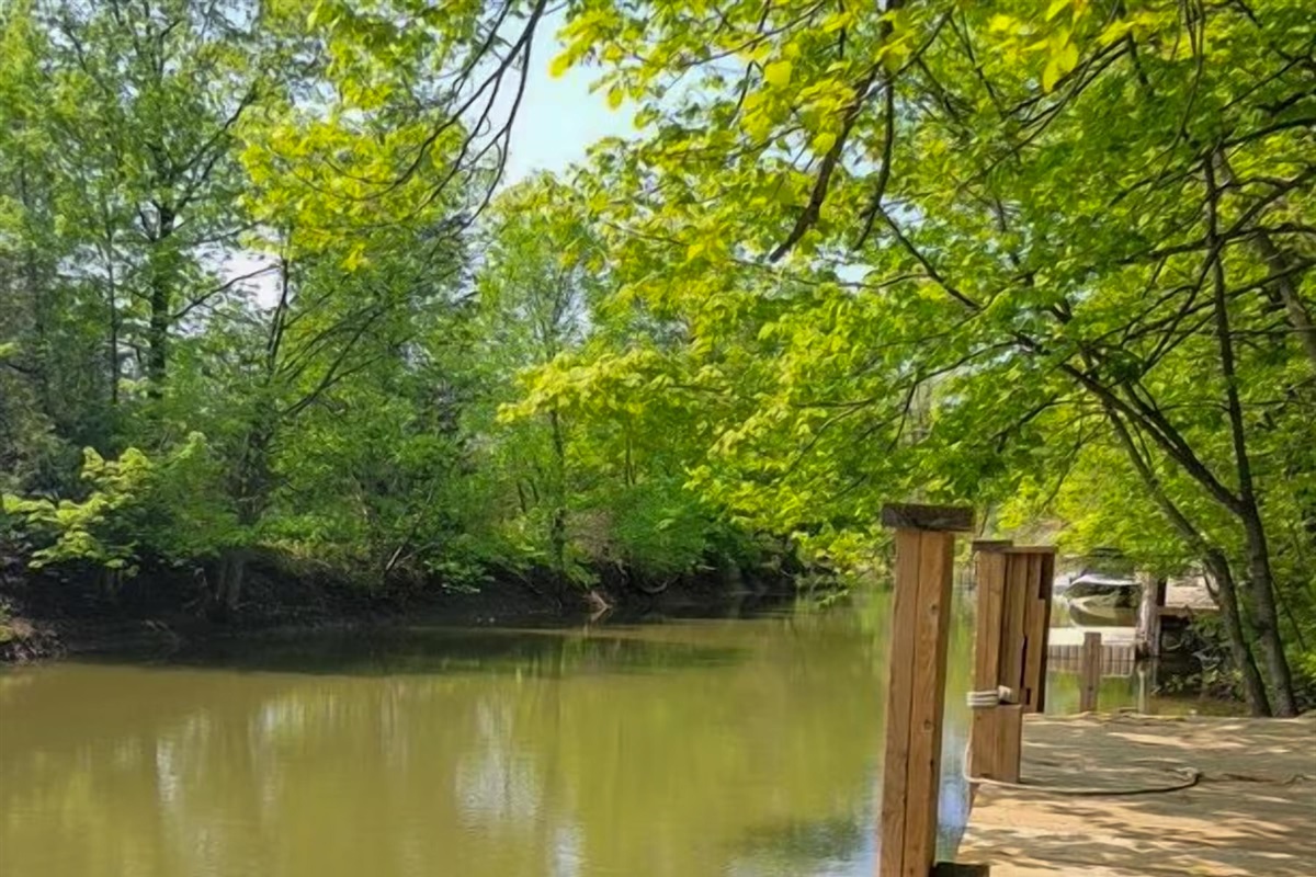     &ldquo;Quiet natural setting with plenty of room to roam&rdquo;