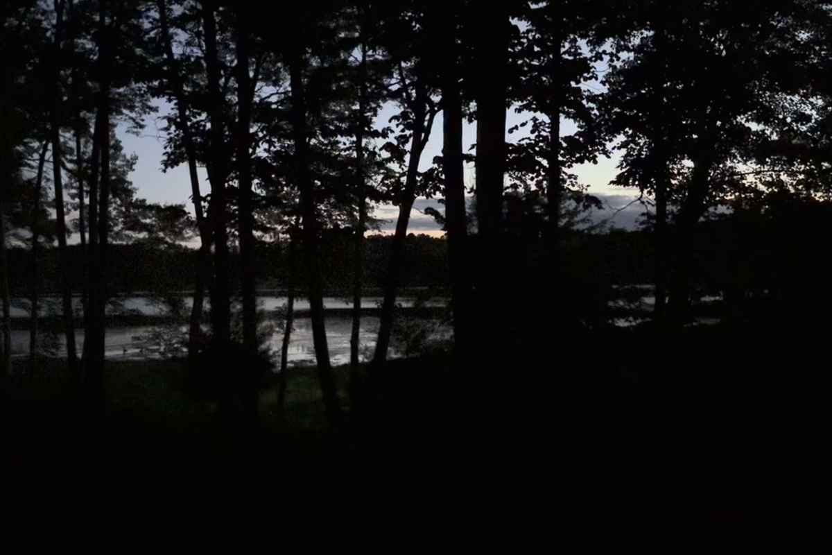 The sound of loons from the deck at Cattail Cottage!