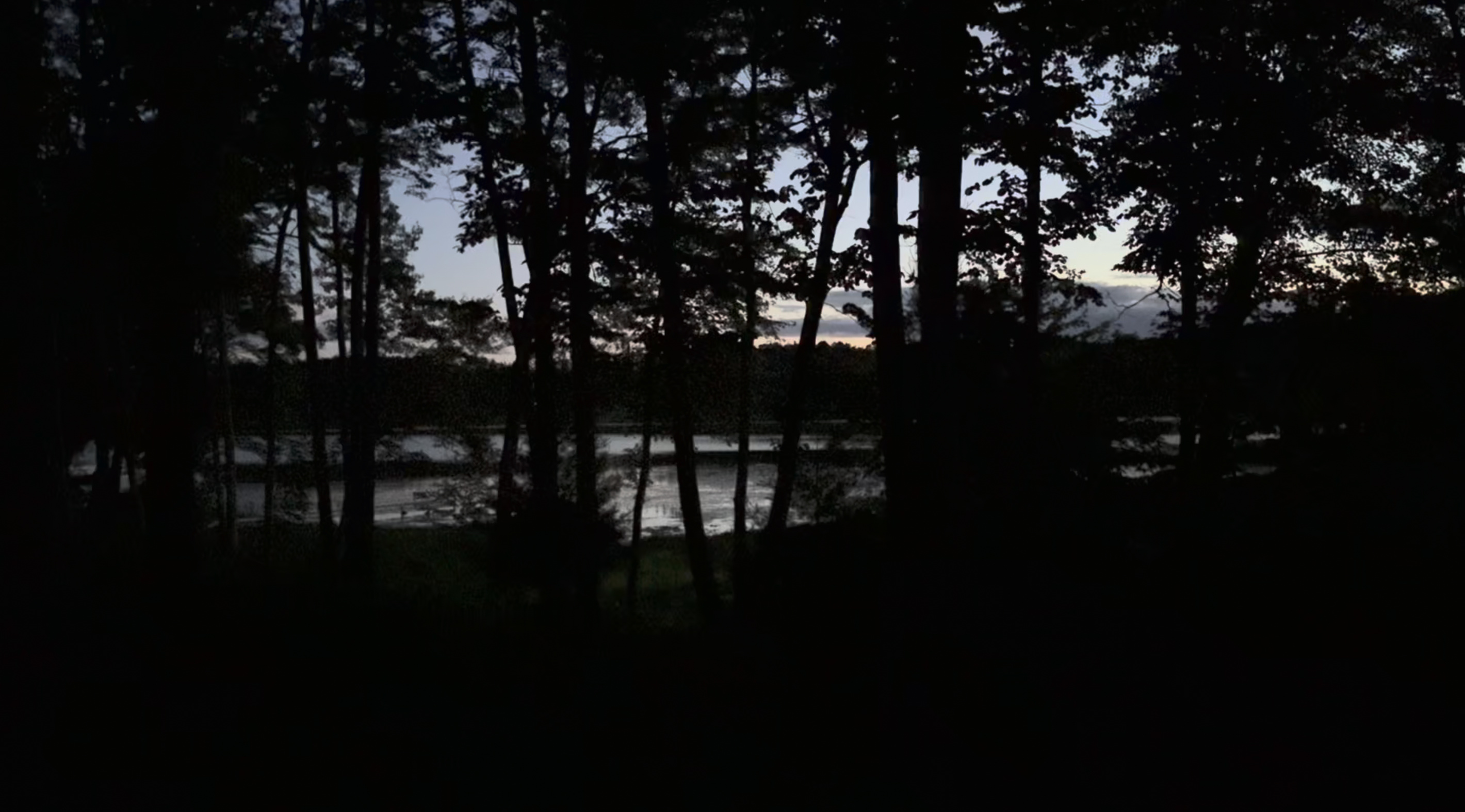 The sound of loons from the deck at Cattail Cottage!