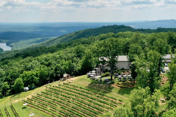 Ample wineries to visit!