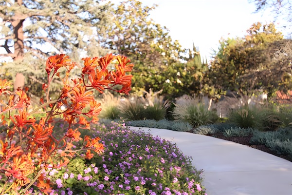 Lush Landscaping