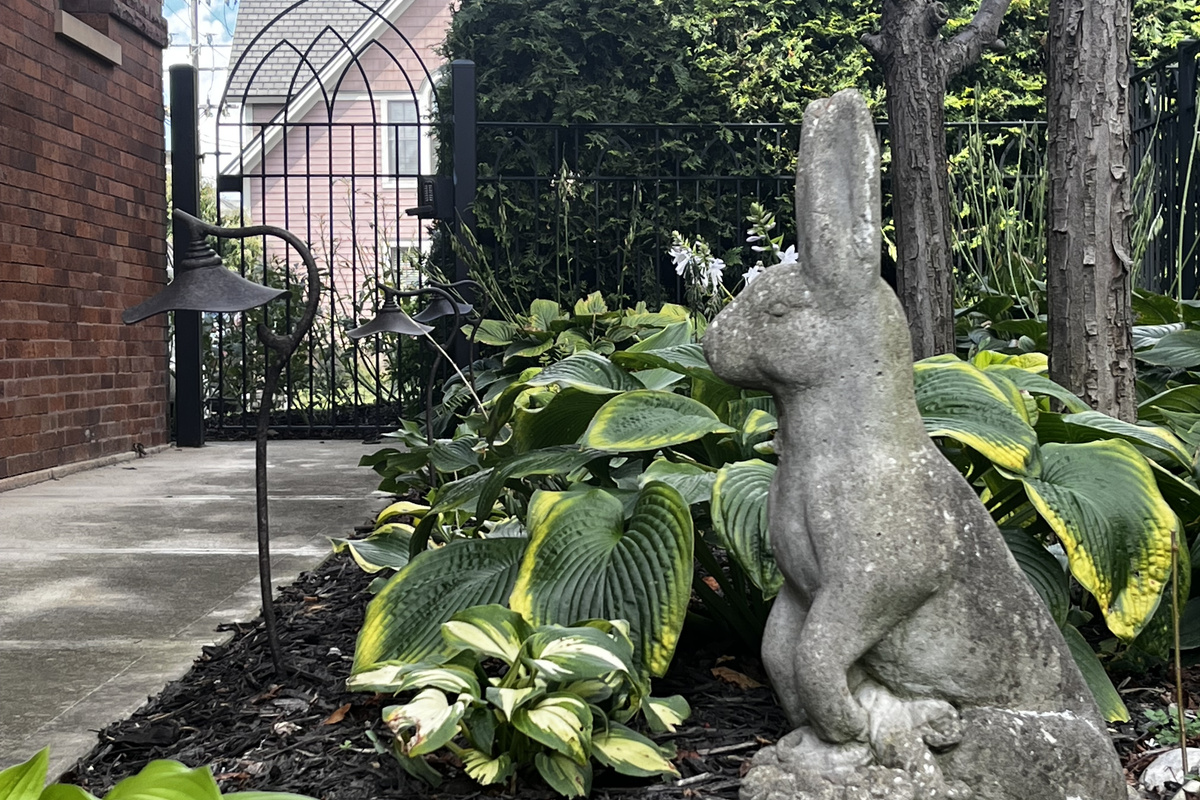 Garden along the side walkway