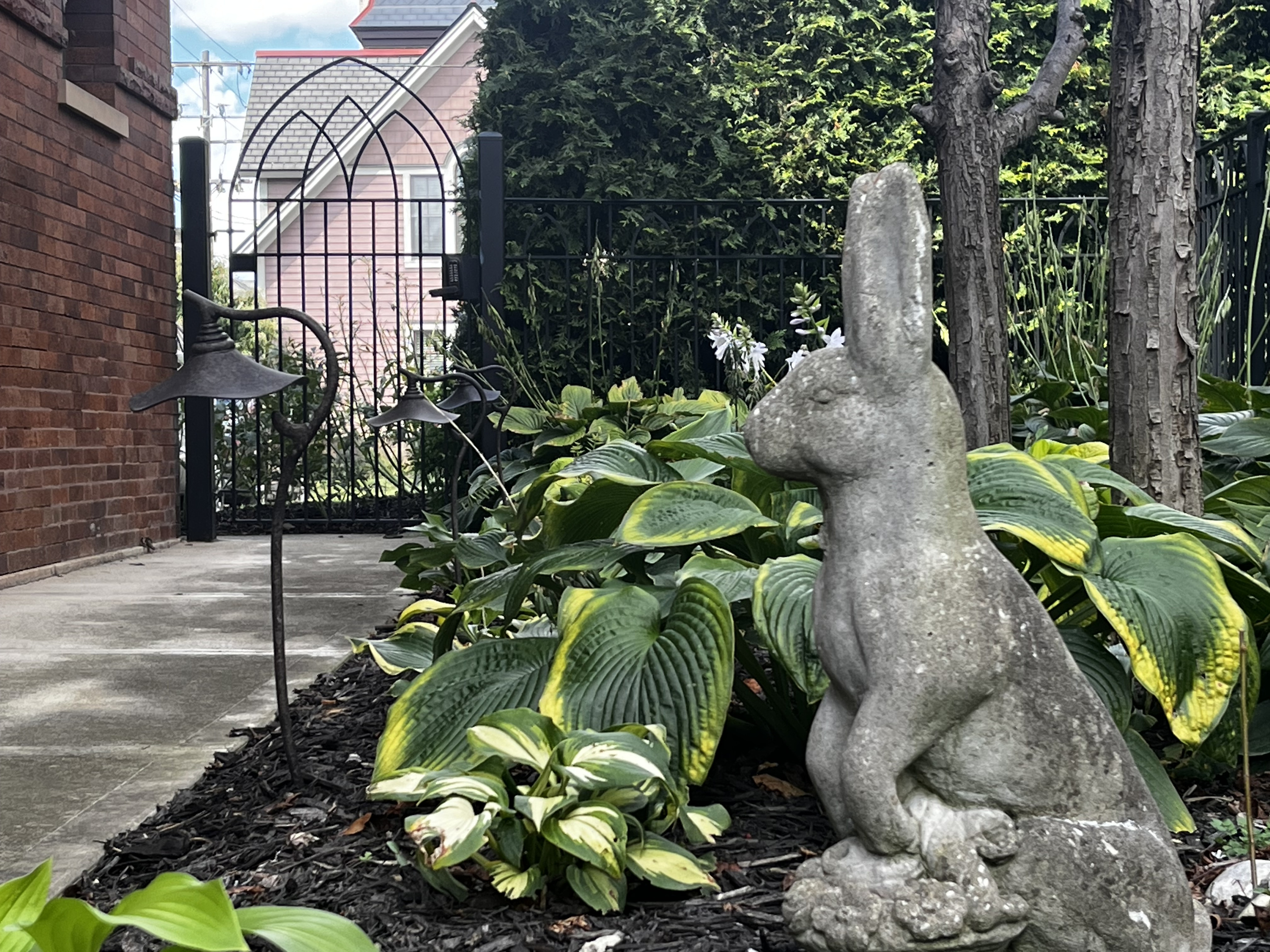 Garden along the side walkway