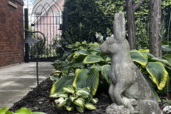 Garden along the side walkway