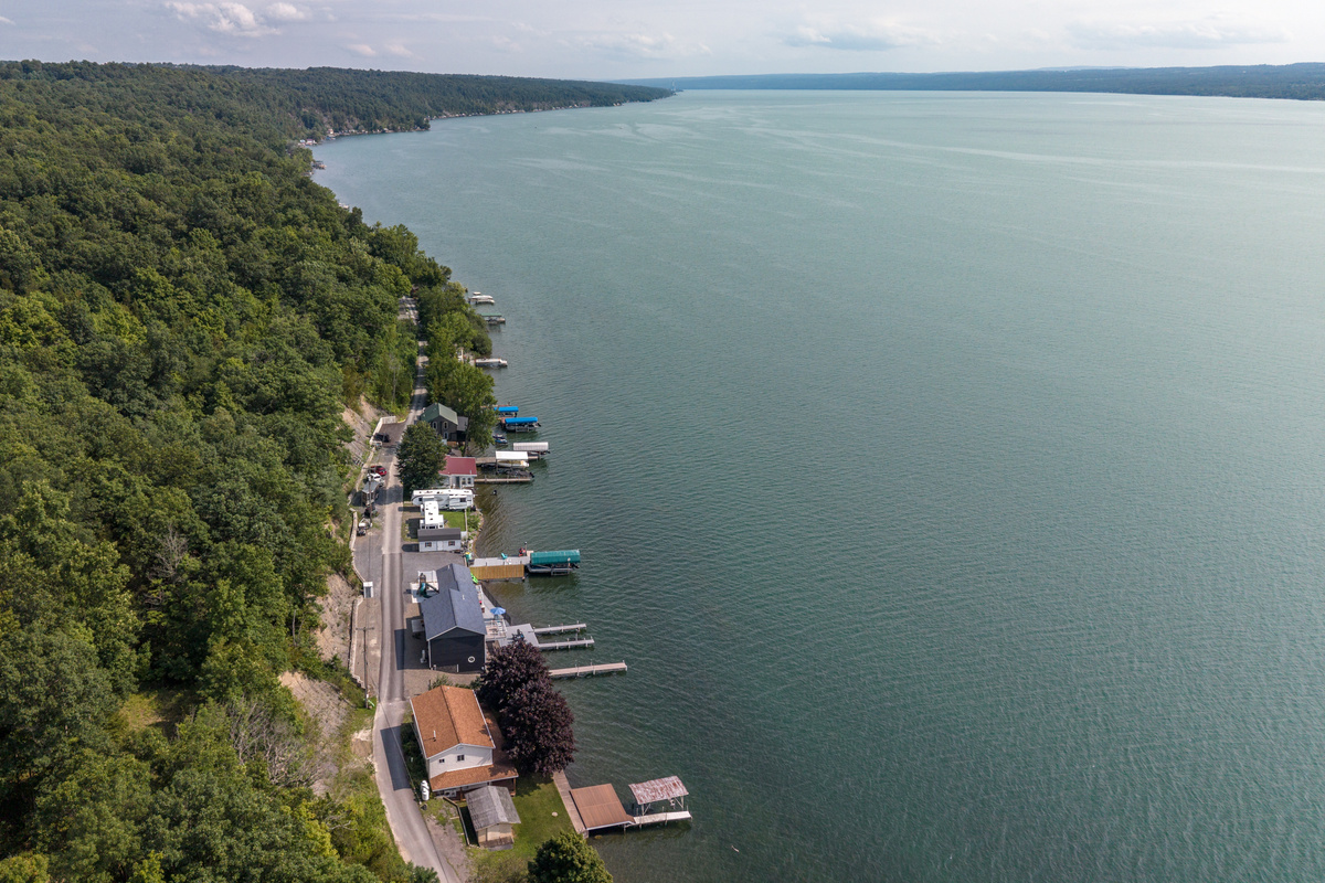 Wide lake view along the tree-lined shore
