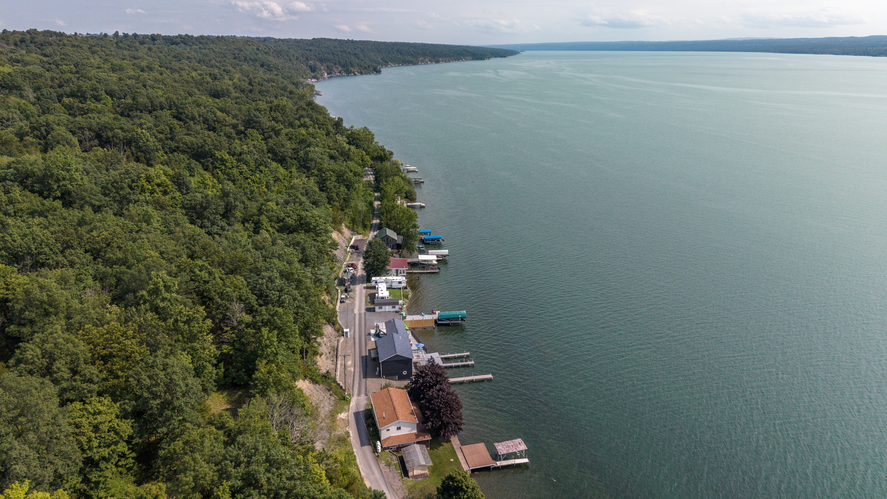 Wide lake view along the tree-lined shore