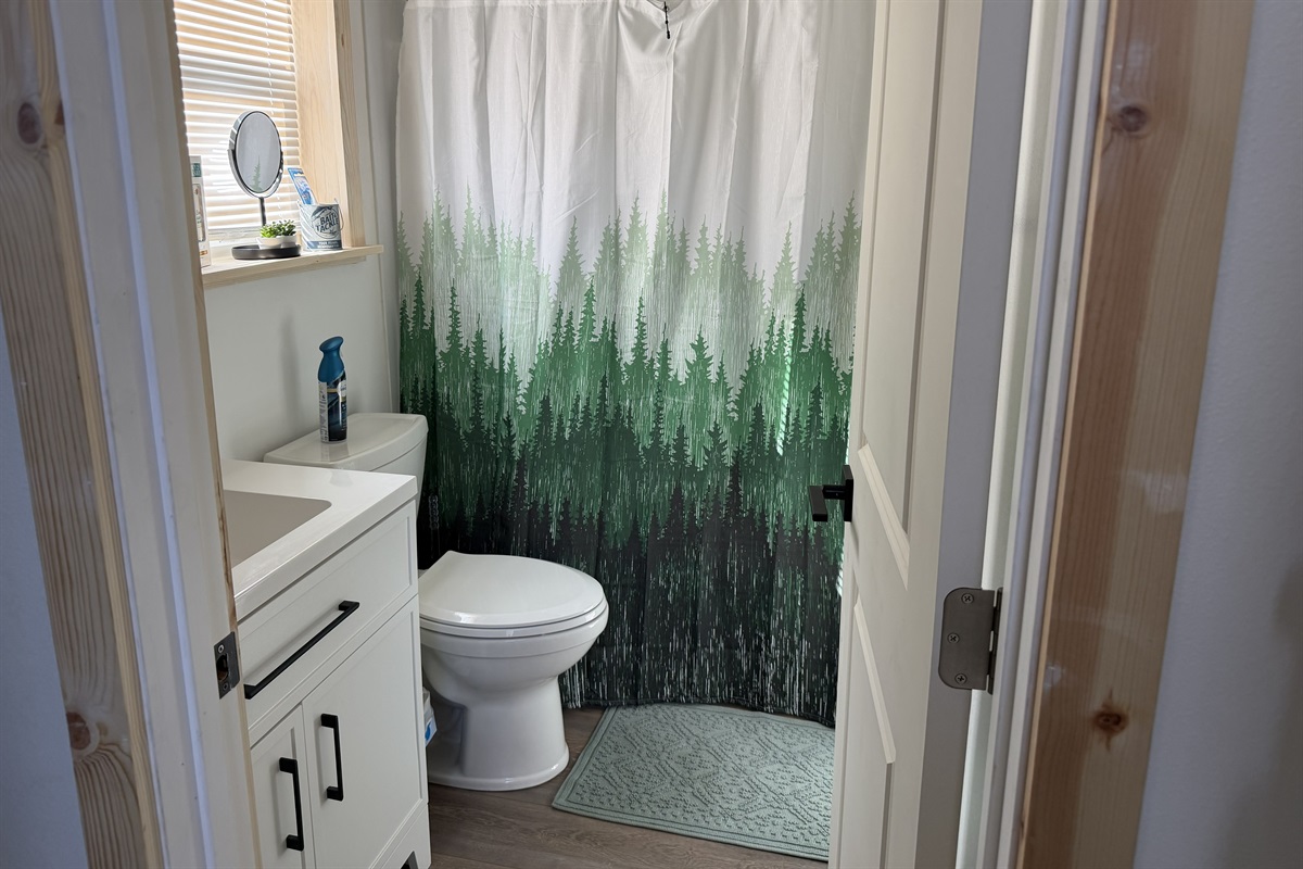 Full bath with vanity, toilet and tub/shower combo
