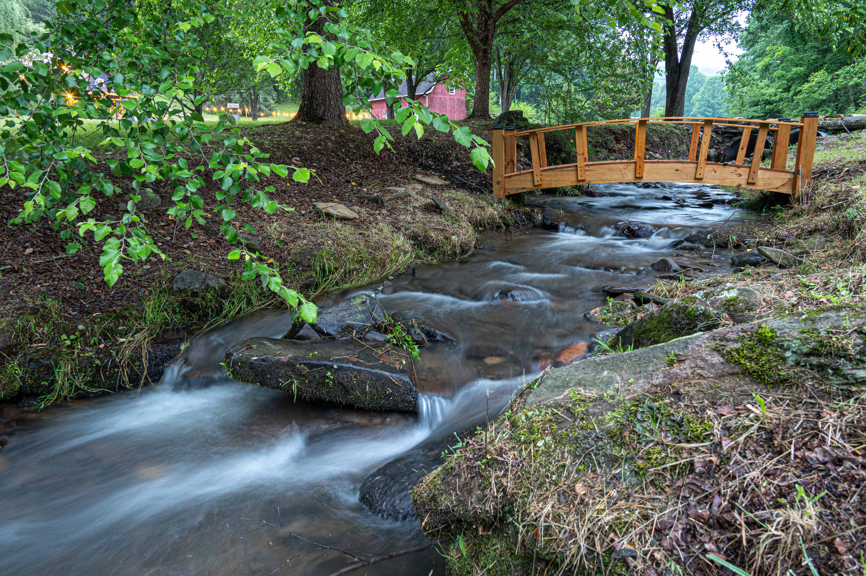 Serene Outdoor Escape: Discover tranquility on the charming bridge over the bubbling stream!