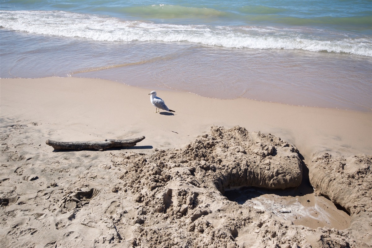 4b95270342cc410994da4325bdcdb98c Large