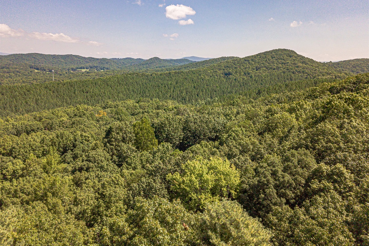 Arial View of Sesonal Mountain View