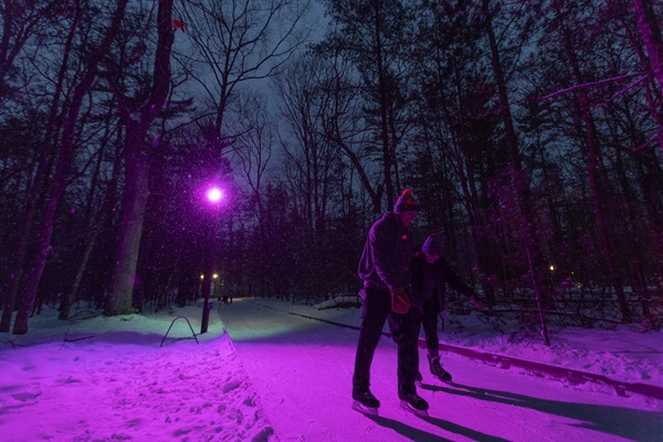 Nighttime Skate Through the Woods - skate under glowing lights for a magical Muskegon winter experience