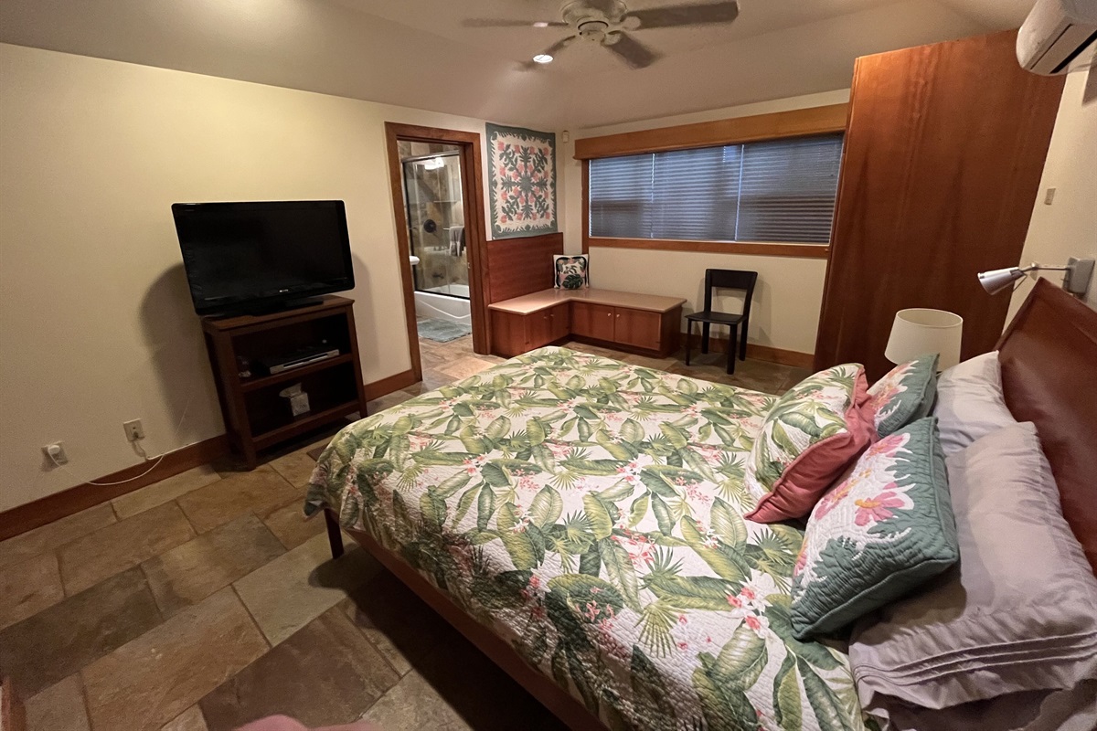 Downstairs bedroom (2)