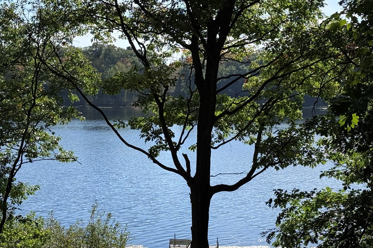 Lake View
