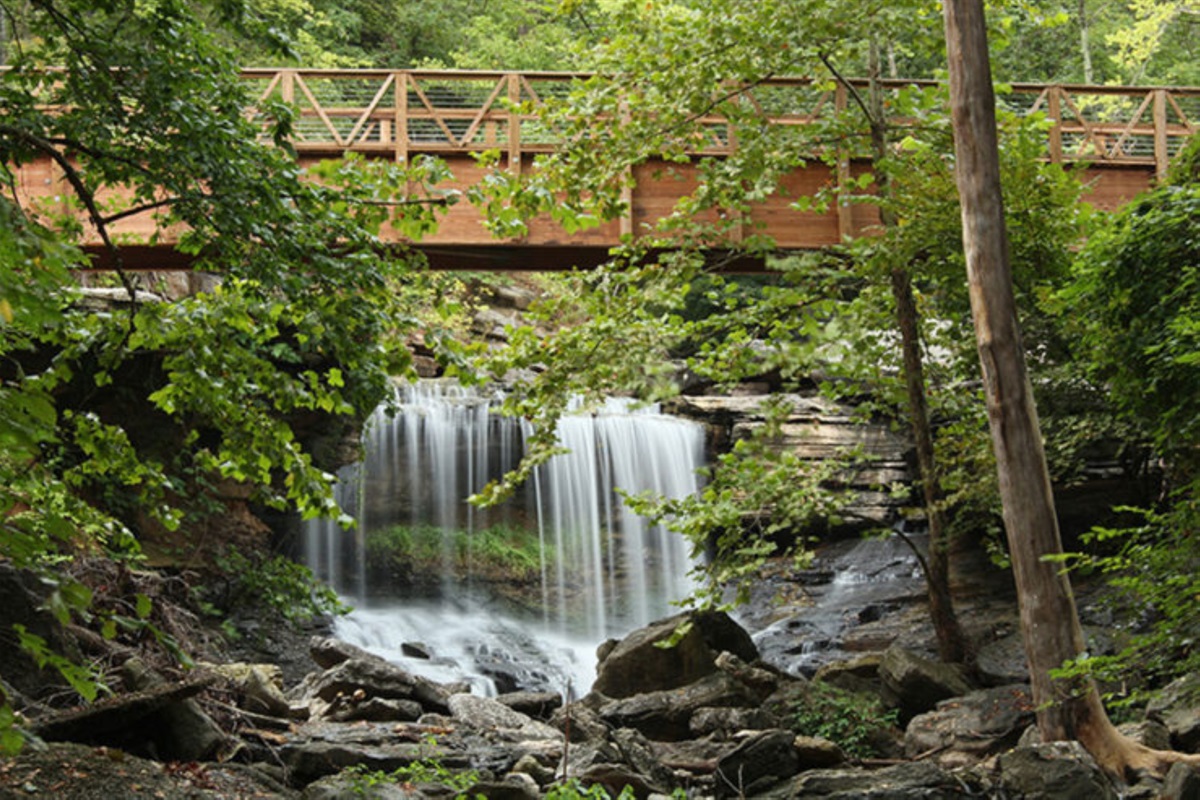 Tanyard Creek Nature Trail: This trail is perfect for families and beginners.