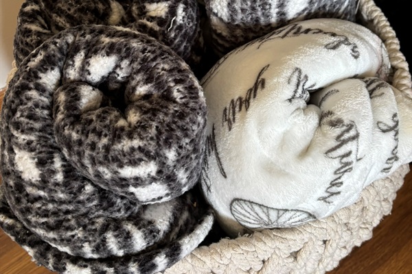 Living Room: spare lap blankets
