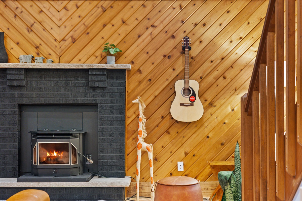 Guitar and Pellet Stove