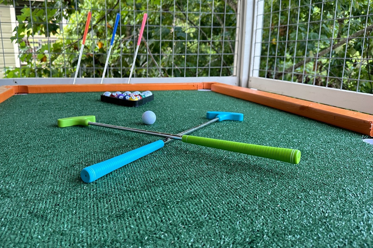 Family Fun: Outdoor Putter Pool Table