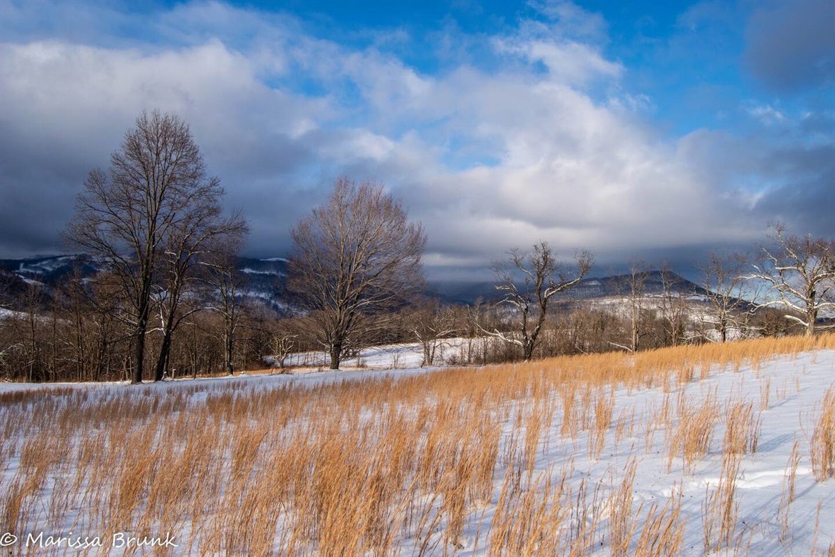 A snowy evening view from the field just below the house!