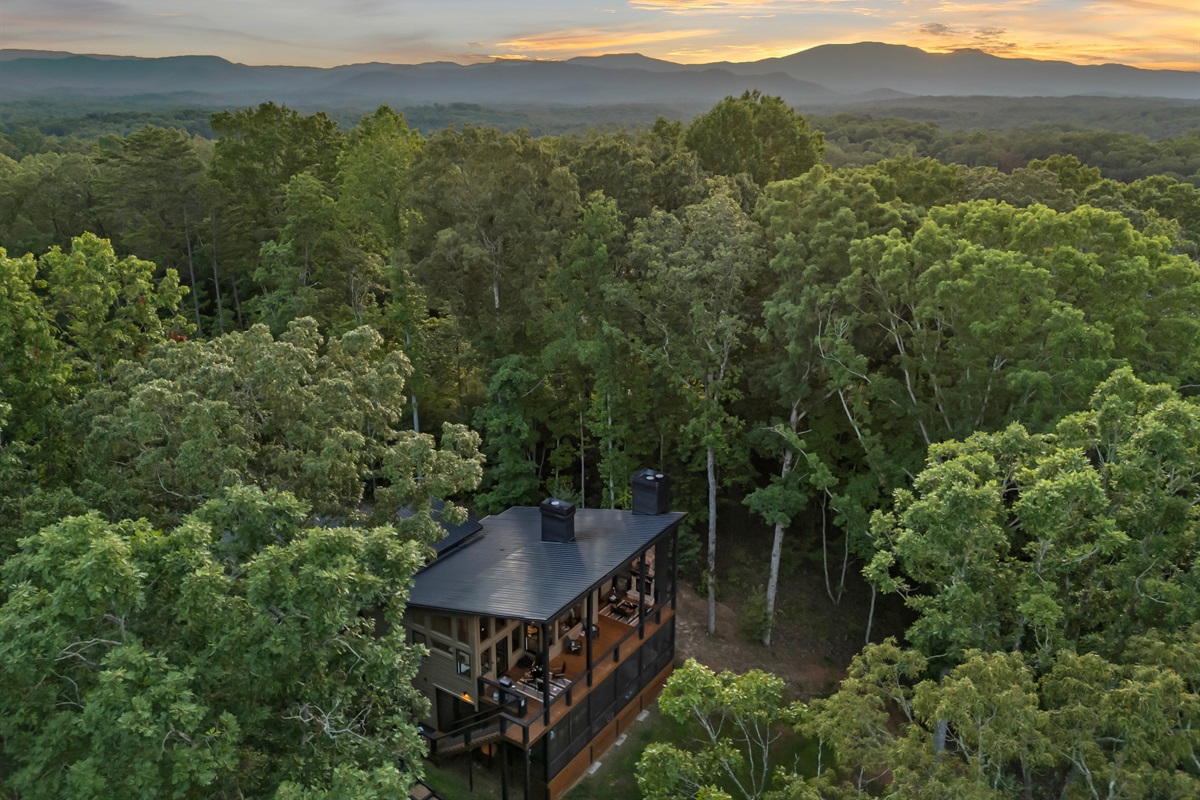 The striking exterior showcases the stunning design of Boujee Lodge. Where contemporary build and forest backbone coexist beautifully.