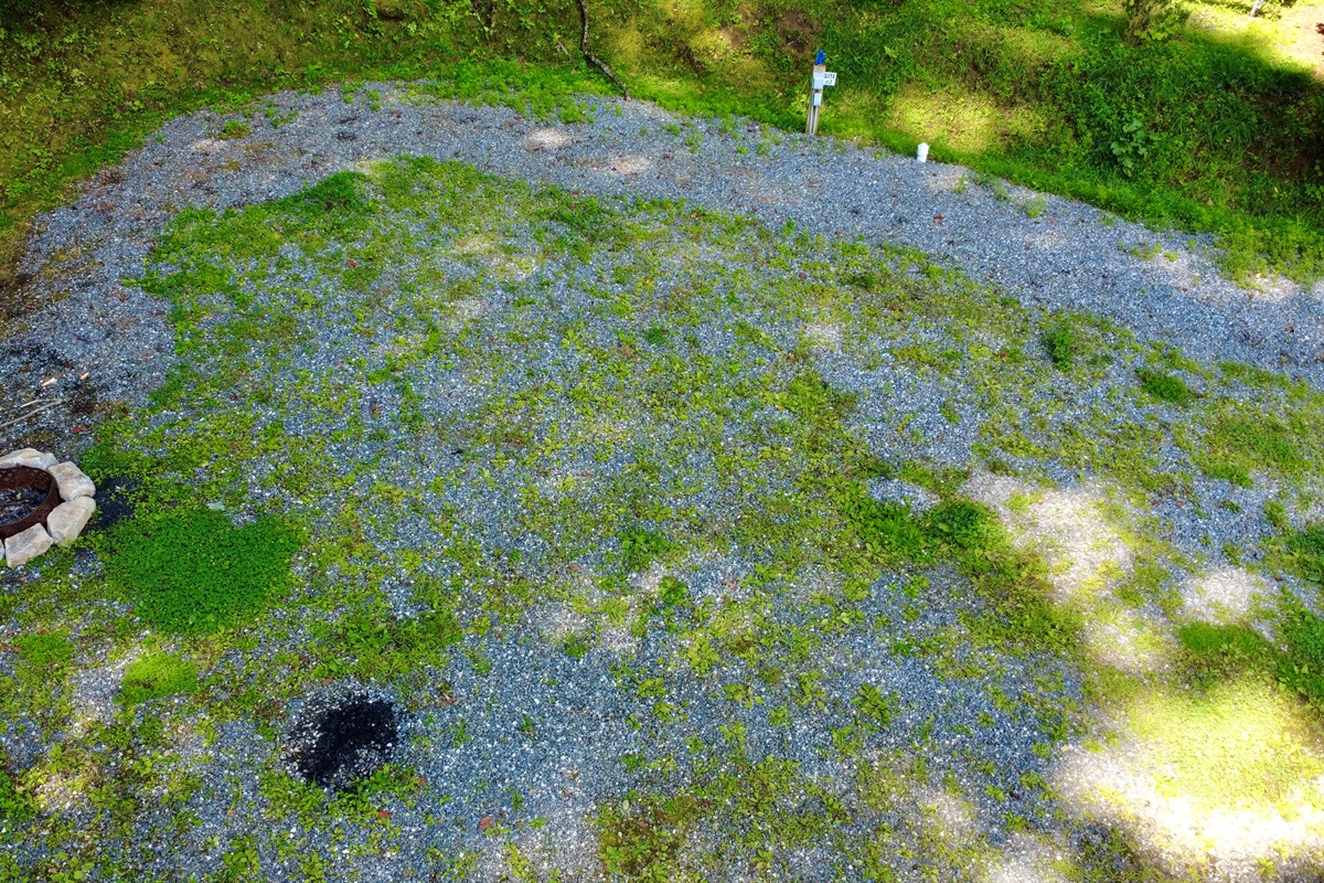 Site 2 — Full hookups, furry friends welcome, and your own campfire under the stars