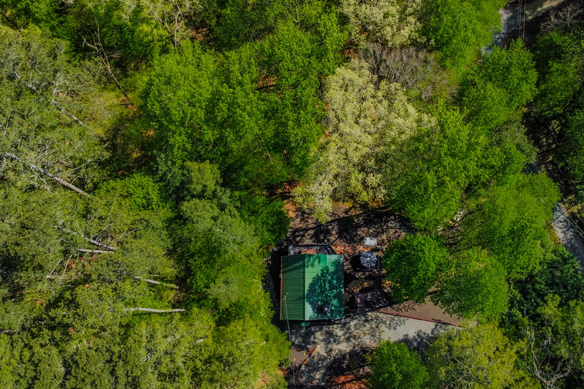 Look how the cabin is surrounded in the woodlands with pathway lights to enjoy all the waterfront and outdoor lounging spaces!