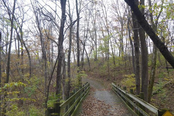 Wooded trails