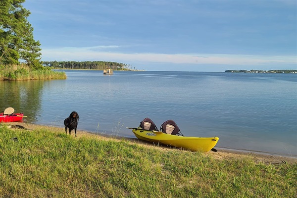 Kayaks provided for guest use