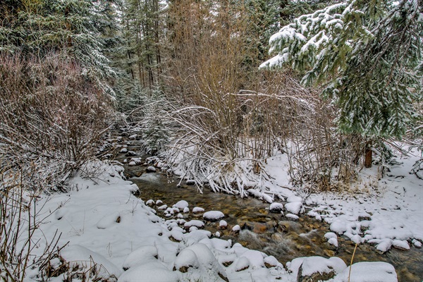 Wander along Spruce Creek, your private creek—snow-dusted trees and gentle flowing water create a peaceful escape where you can slow down and reconnect with nature.