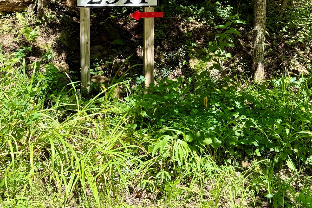 Follow the arrow, and let the mountains do the rest.