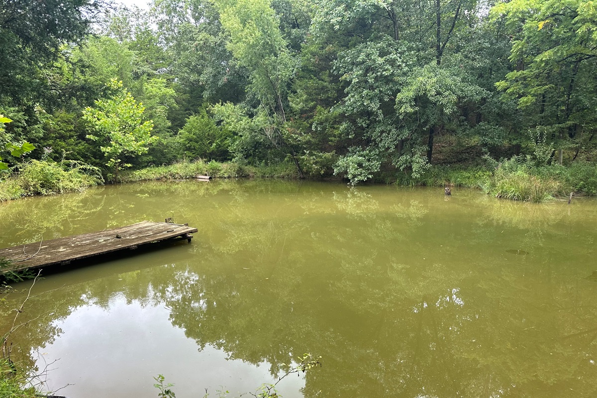 A serene pond setting perfect for relaxing walks and nature moments; dock access is restricted.