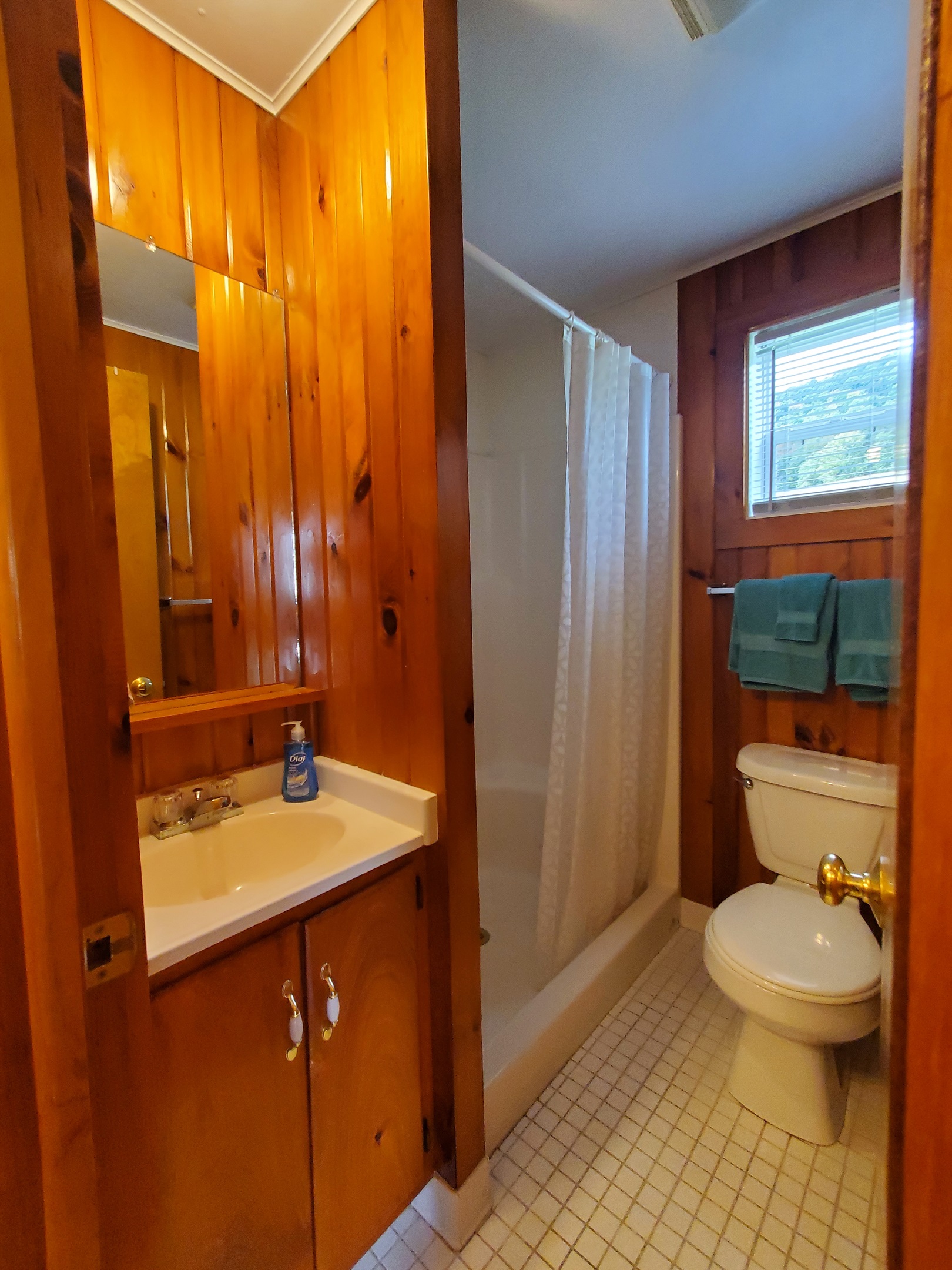 Bath with shower