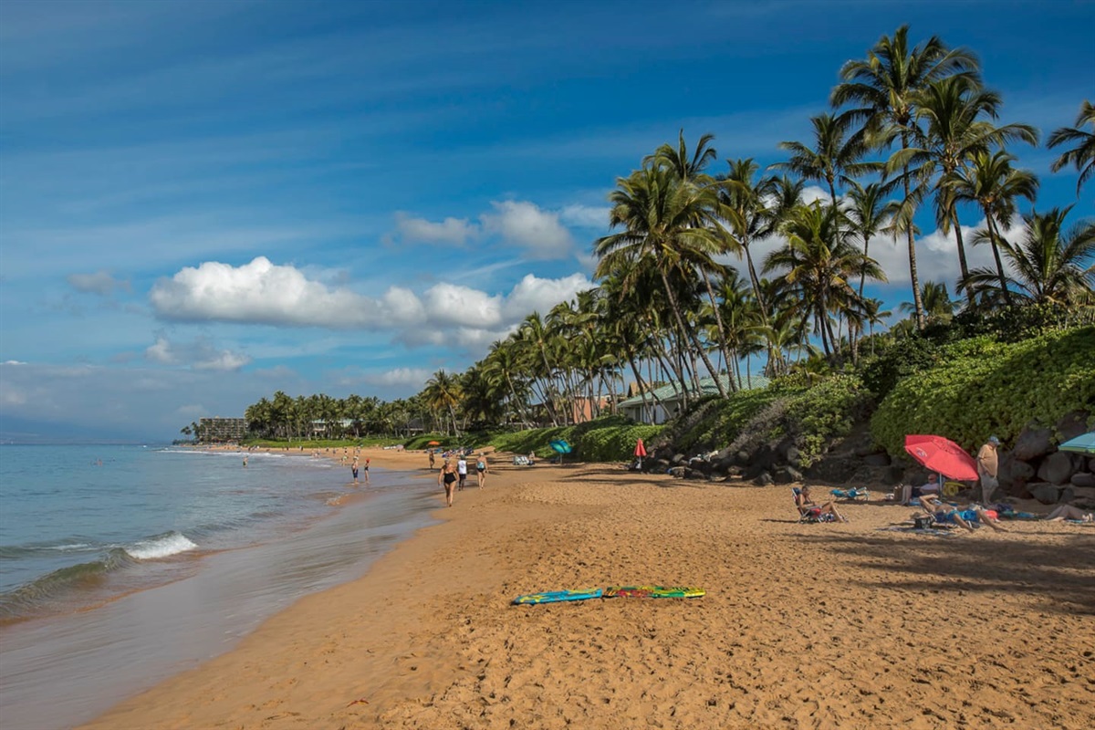 one of several beaches within walking distance