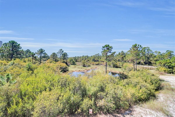 You can't get this view anywhere but here.  No houses behind us.  No staring at the side of another highrise.   Just wetlands and nature!  The wetlands of Gulf State Park adjoin the back of the property, providing great views and spectacular sunsets.