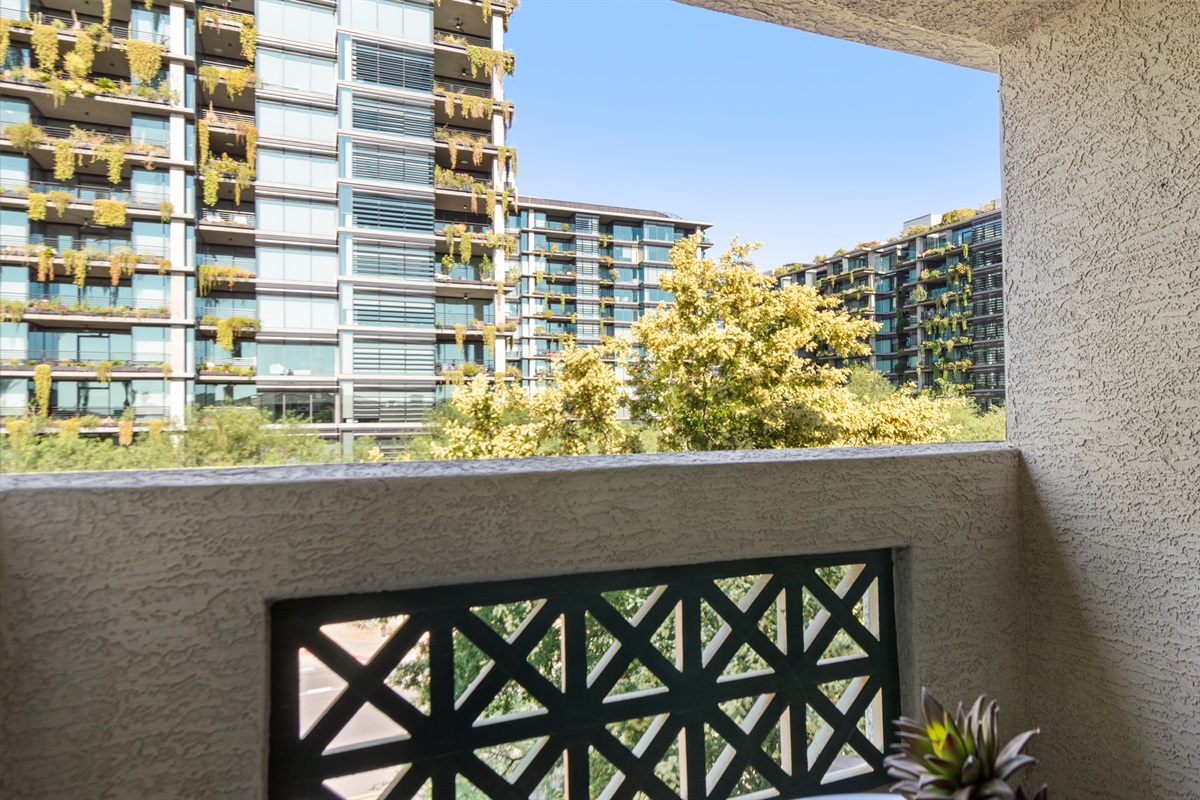 Urban oasis vibes.