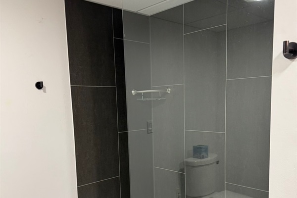 Basement bathroom with step in shower