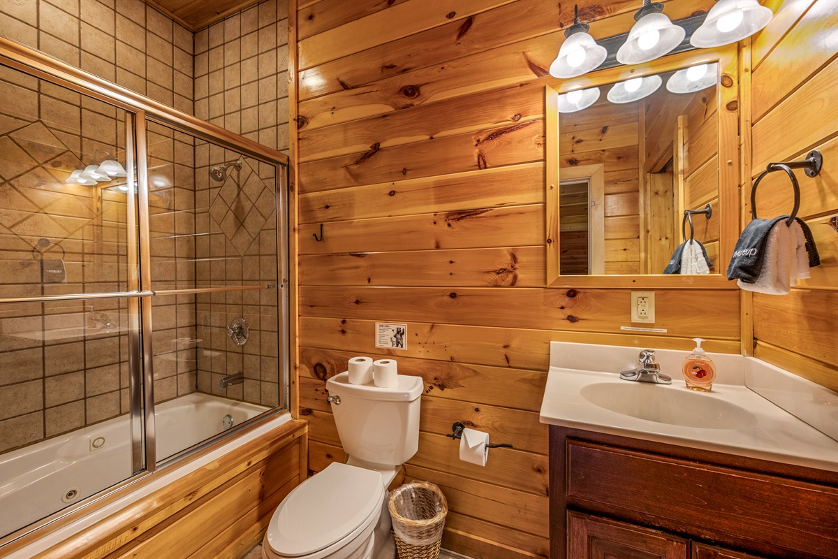 Lower Level Bathroom 2