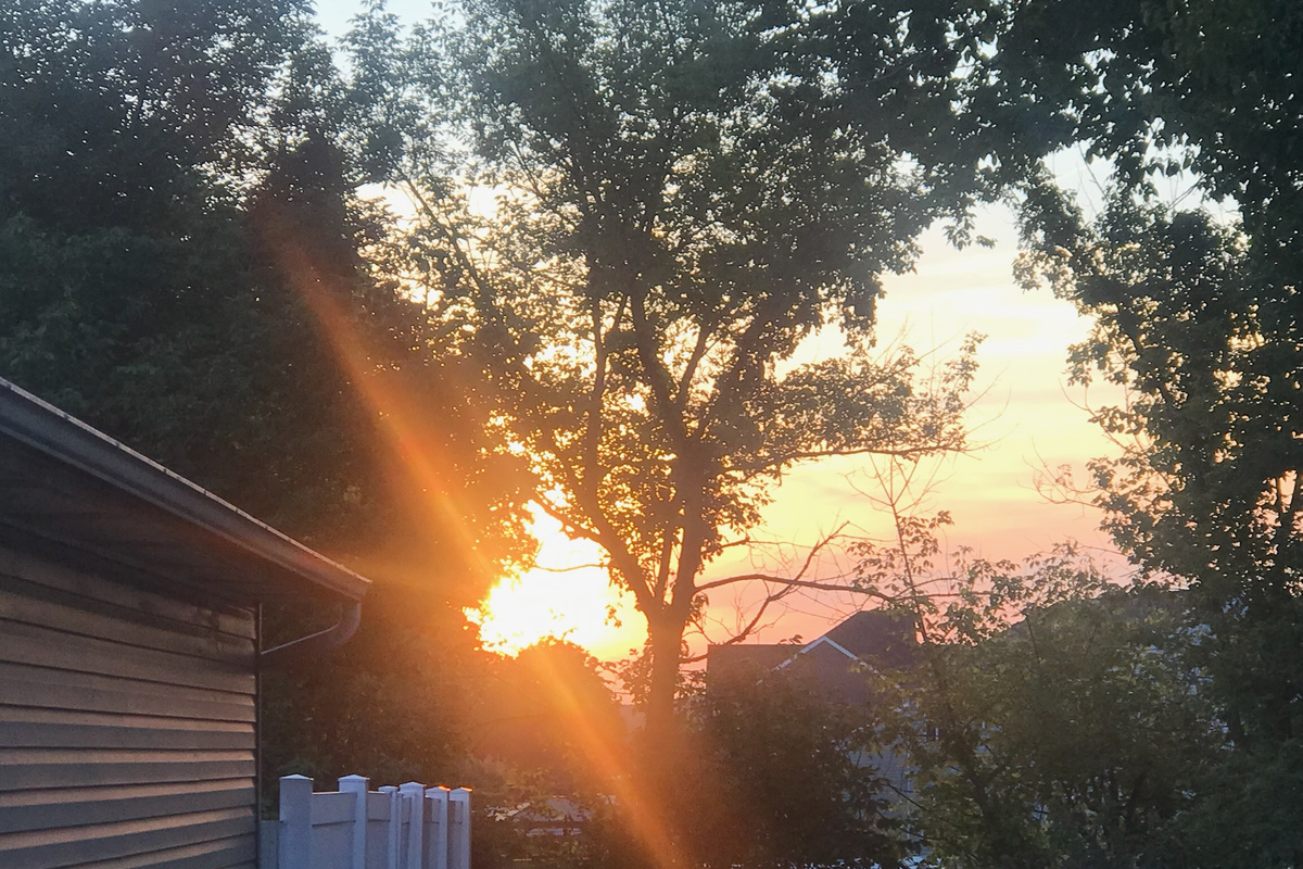 Golden sunset viewed from the backyard.