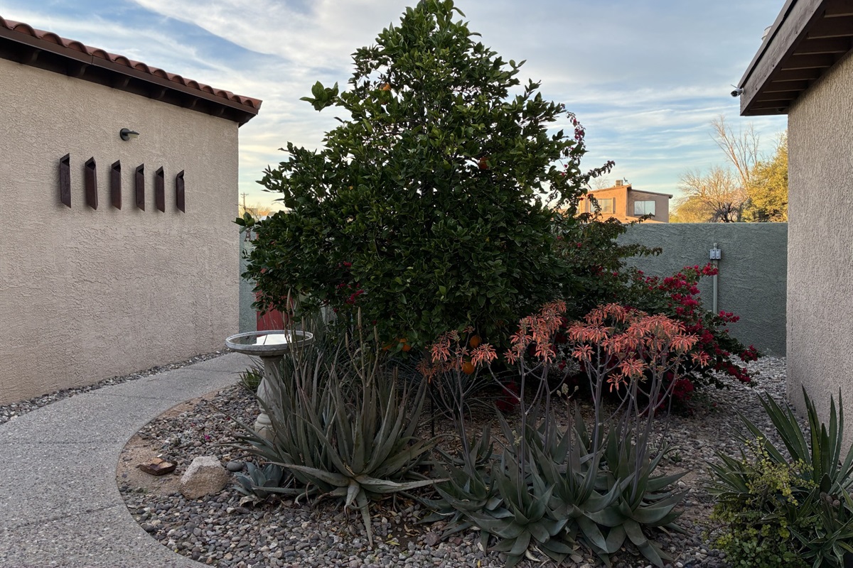 Outdoor area infront of Casita N.